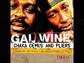 Chaka Demus & Pliers     Don