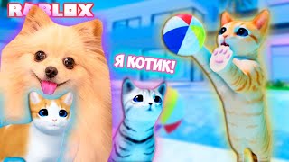 КОТИКИ ТАНЦУЮТ В РОБЛОКС ! Я СТАЛА КОТИКОМ ! КОШАЧЬЯ ВЕЧЕРНИКА В РОБЛОКС | Kitten Game ROBLOX