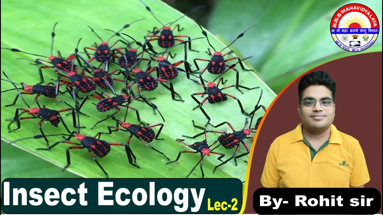 B.Sc (Ag.) 3rd Semester || Fundamentals of Entomology -2nd || Insect ...