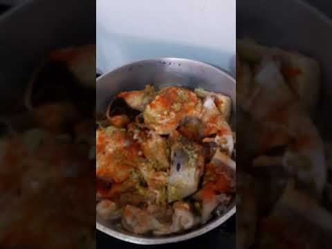 Melhor Receita de peixe cachara insopado