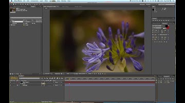 Vignette Tutorial in After Effects with the Layer Mask / Video School Online