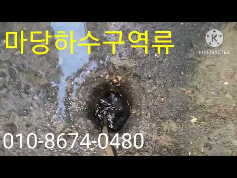 부산 강서구 녹산동 하수구 배관 역류 막힘 뚫는곳 배수구 물넘침 막힌곳 뻥 뚫어 뚤어 뚜러 주는 곳 출장 전문 소통 수리 업체 