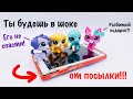 LPS: 😱 ПОДПИСЧИК ПОДАРИЛ РАЗБИТЫЙ ТЕЛЕФОН!? 😨 (Mail time #8)