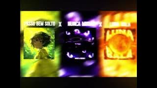 Passo Bem Solto X Nunca Muda?  X Luna Bala