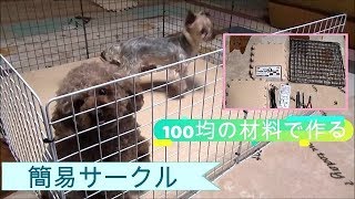 ＜DIY＞100均の材料で愛犬キキララの為に簡易サークル作りました