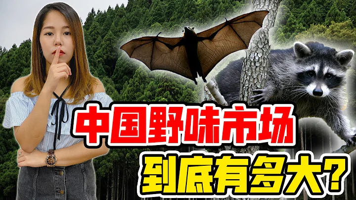 中国野味市场｜已有数百年历史？【政经10分钟 EP91】 - DayDayNews