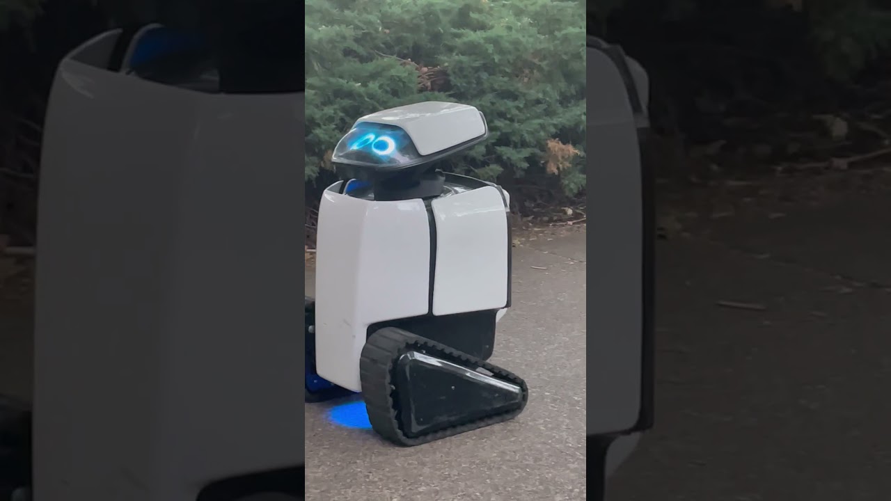 Dax the delivery robot