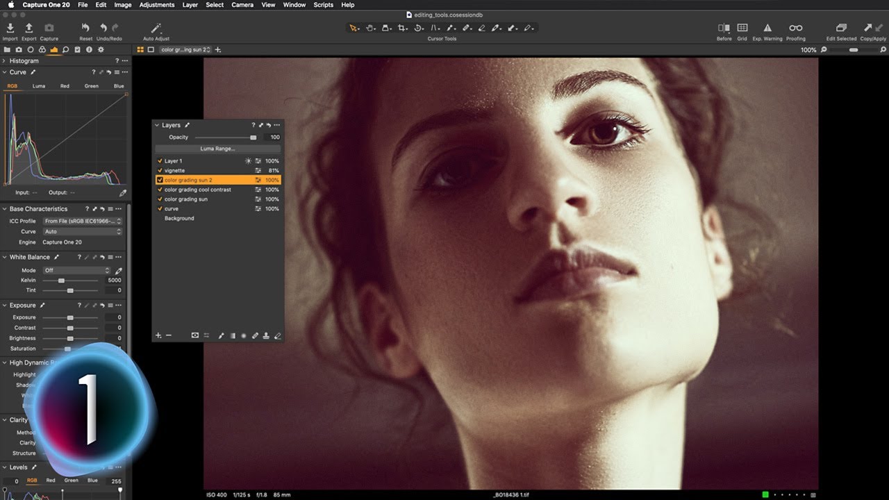 PHOTO EDITING BASICS Capture One Pro 20 LAYERS EXPLAINED YouTube