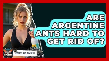 Are Argentine Ants Hard To Get Rid Of? - Insects and Invaders