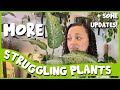 MORE Struggling Plants?! | And Planty Updates 🌱