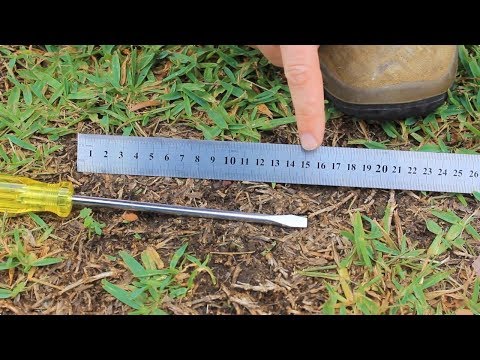 Video: Suspausto dirvožemio ženklai – kaip sužinoti, ar sode dirvožemis sutankėjęs