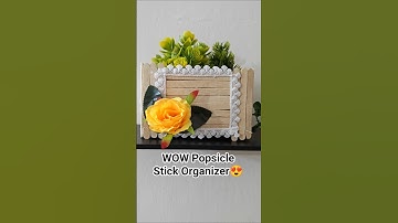 DIY Popsicle Stick Organizer | Easy Home Decor Craft Idea | Easy Handmade Storage Box #diy #craft