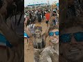 مهرجان بوريونغ للطين 