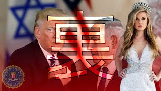 警察官ゆりのアメリカ生活の配信のサムネイル画像