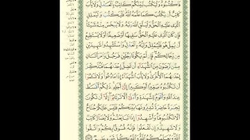 الورد اليومى.. سورة البقرة من الاية 282 الى الاية 282 بصوت القارئ الشيخ ماهر المعيقلى (اطول آية)