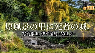 発見！黄金のツタに覆われた死者の城が沖縄に。~伊平屋島~