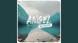 Angel (raylectro Remix)