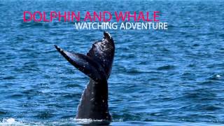 Oceanside Adventures, Come Join Us In Oceanside