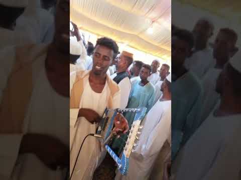 عبدالمحمود الجموعي الصندل اللين محمد الشجرة على آلة الاورقن والمبدع على بركة ربابة جد