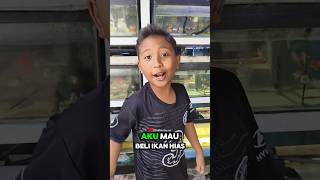 Yey‼️ Kita Beli Banyak Ikan Hias Untuk Ditempatkan di Aquarium‼️ #vlog #ikan #ikanhias #aquarium