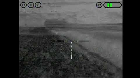 Thermal Hunting: Fox calling into the .22 Hornet