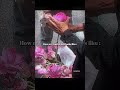 ð #explore #twice #kpop #kpopfashion #fypã·ãviral #aesthetic #indian #india #lotus #cute #movie