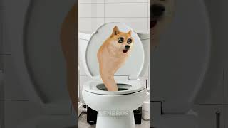 A Skibidi Doge Toilet