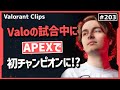 味方「もしかしてAPEXやってる!?」レディアントの試合中にAPEXでチャンピオンを取るAsuna!! #203 【クリップ集】【ヴァロラント】【Valorant翻訳】