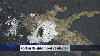 Vandals Pelt Rocklin Neighborhood With Eggs