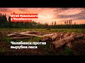 Челябинск против вырубки леса