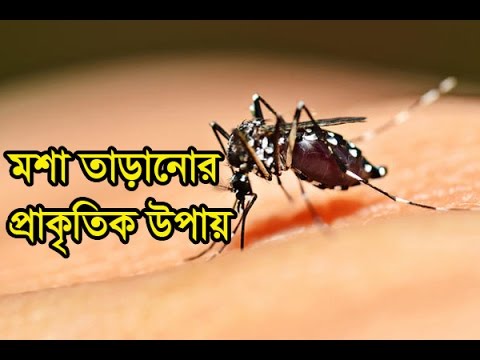 breaking free মশা তাড়ানোর প্রাকৃতিক ও ঘরোয়া উপায় ! Keep away mosquito naturally !