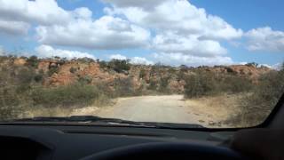Driving in Mapungubwe National Park, South Africa