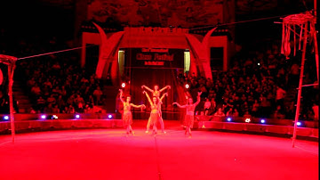 Xiếc Hay Nhất Trồng đầu Trượt Trên Dây Xiếc Hà Nội liên hệ ĐT: 097 224 4849