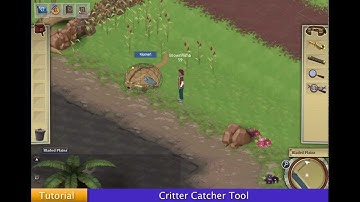 Radix Tutorial: Critter Catcher