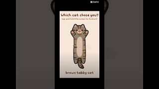 What cat chose you? (pause and find out.) #cat #cute #pause