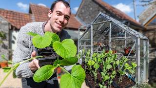 Sowing vegetable and flower seeds - propagating plants, finishing the patio and enjoying the sun!