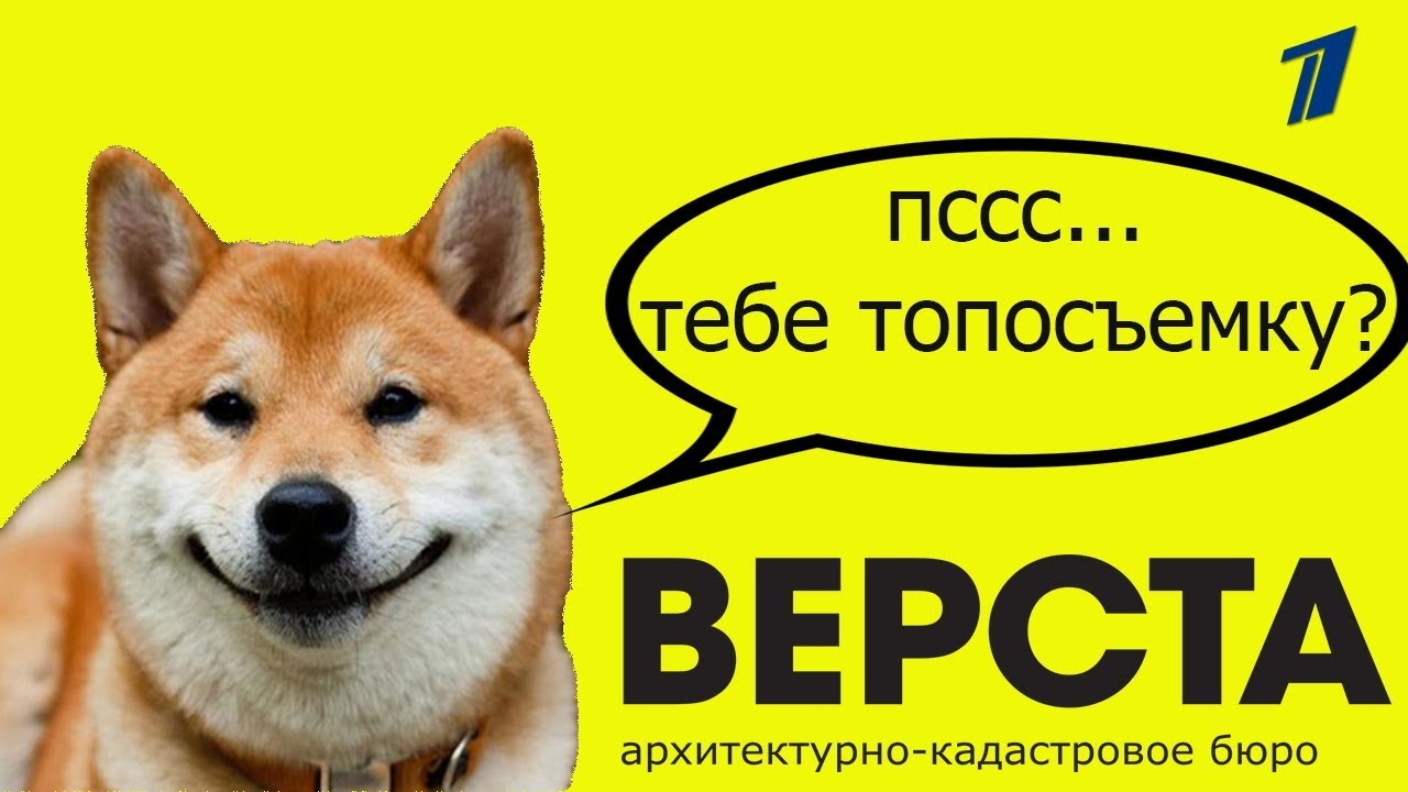 Топографическая съемка земельного участка. Топосъемка земельного ...