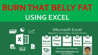 Burn That Belly Fat using Excel screenshot 2