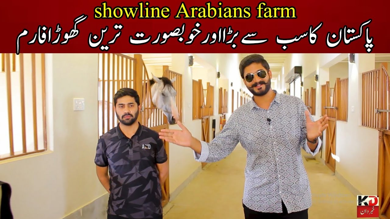The Show line Arabians Horse Farm Pakistan || Most Beautiful Horse Stable || خوبصورت گھوڑافارم