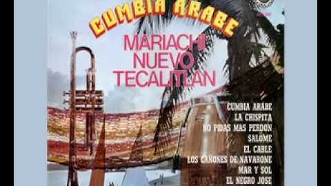 Mariachi Nuevo Tecalitlan  Mar Y Sol
