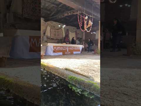 Short video