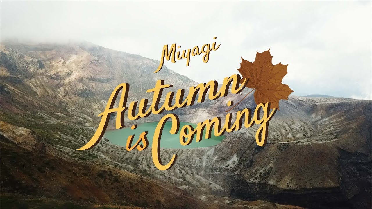 "MIYAGI" Autumn is coming [อาสาพาไปหลง Japan]