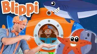 Blippi | Ocean Animals Song + MORE ! | Songs for Kids |  Educational Videos for Kids