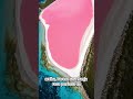 El extraño lago rosado de Australia que parece irreal
