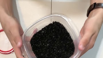 3D Printed 40mm Gas Mask Filter Assembly