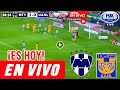 Monterrey vs. Tigres en vivo, Donde Ver Partido Rayados vs. Tigres Liga MX Jornada 15 hoy