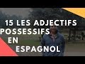 Vidéo 15: Les adjectifs possessifs en espagnol