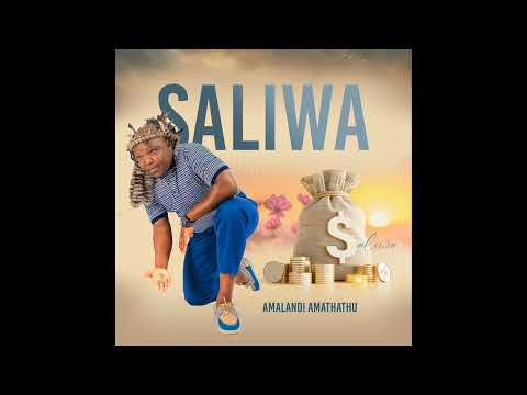 Saliwa - Amalandi Amathathu (Official Audio) | Maskandi