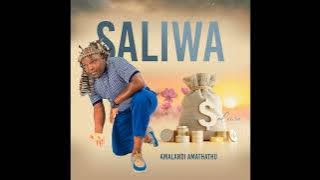Saliwa - Amalandi Amathathu | Maskandi