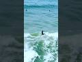 O jovem acelerou na onda? 🌊🏄♂️ #surf #drone #shorts
